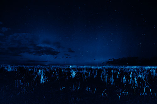 Dim Northern Aurora Borealis Lights Fading Beyond Horizon (Blue Shade Photo)