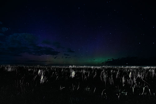 Dim Northern Aurora Borealis Lights Fading Beyond Horizon (Blue Tint Photo)