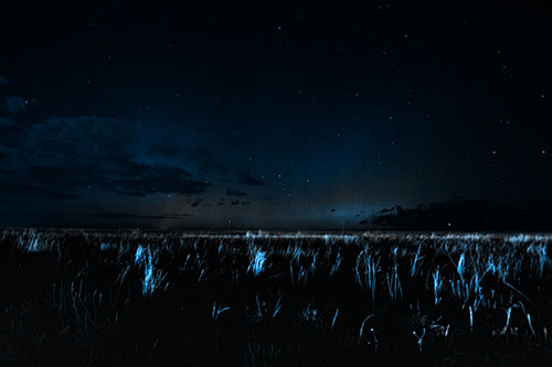 Dim Northern Aurora Borealis Lights Fading Beyond Horizon (Blue Tone Photo)
