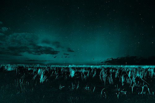 Dim Northern Aurora Borealis Lights Fading Beyond Horizon (Cyan Shade Photo)