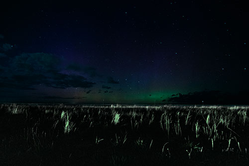 Dim Northern Aurora Borealis Lights Fading Beyond Horizon (Cyan Tint Photo)
