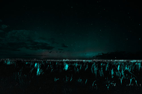 Dim Northern Aurora Borealis Lights Fading Beyond Horizon (Cyan Tone Photo)