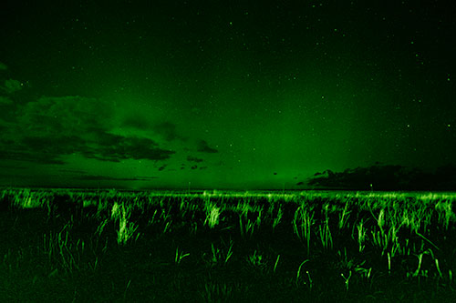 Dim Northern Aurora Borealis Lights Fading Beyond Horizon (Green Shade Photo)