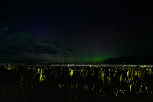 Dim Northern Aurora Borealis Lights Fading Beyond Horizon (Green Tint Photo)
