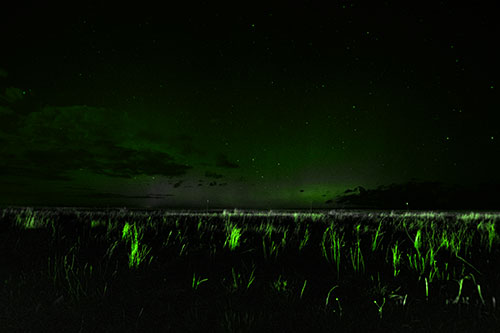 Dim Northern Aurora Borealis Lights Fading Beyond Horizon (Green Tone Photo)