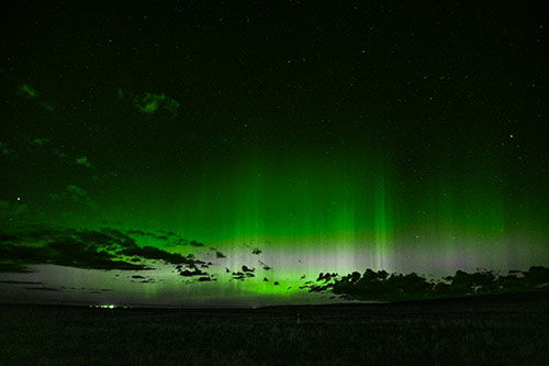 Northern Aurora Borealis Lights Up Night Sky (Green Tone Photo)