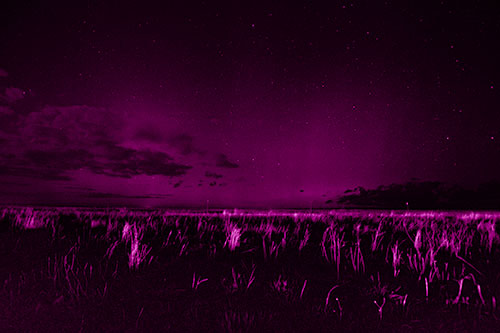 Dim Northern Aurora Borealis Lights Fading Beyond Horizon (Pink Shade Photo)