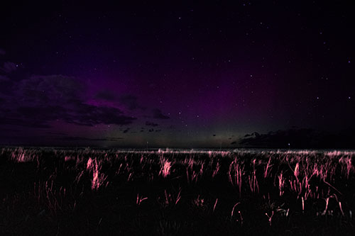 Dim Northern Aurora Borealis Lights Fading Beyond Horizon (Pink Tint Photo)