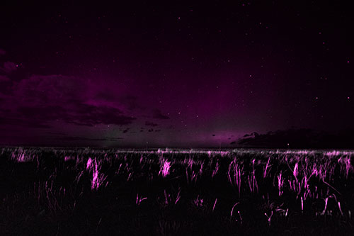 Dim Northern Aurora Borealis Lights Fading Beyond Horizon (Pink Tone Photo)