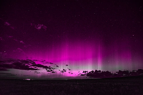 Northern Aurora Borealis Lights Up Night Sky (Pink Tone Photo)
