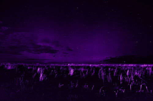 Dim Northern Aurora Borealis Lights Fading Beyond Horizon (Purple Shade Photo)