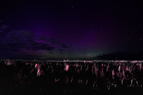 Dim Northern Aurora Borealis Lights Fading Beyond Horizon (Purple Tint Photo)