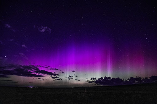 Northern Aurora Borealis Lights Up Night Sky (Purple Tint Photo)