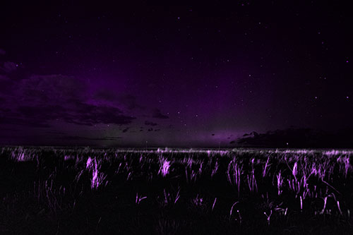 Dim Northern Aurora Borealis Lights Fading Beyond Horizon (Purple Tone Photo)