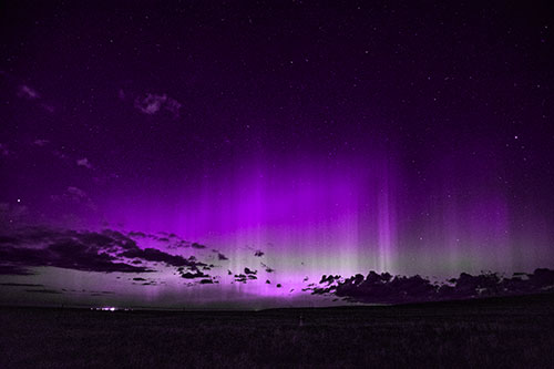 Northern Aurora Borealis Lights Up Night Sky (Purple Tone Photo)