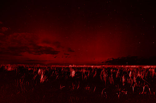 Dim Northern Aurora Borealis Lights Fading Beyond Horizon (Red Shade Photo)
