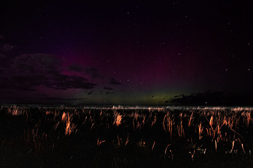 Dim Northern Aurora Borealis Lights Fading Beyond Horizon (Red Tint Photo)