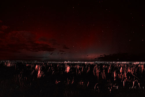 Dim Northern Aurora Borealis Lights Fading Beyond Horizon (Red Tone Photo)