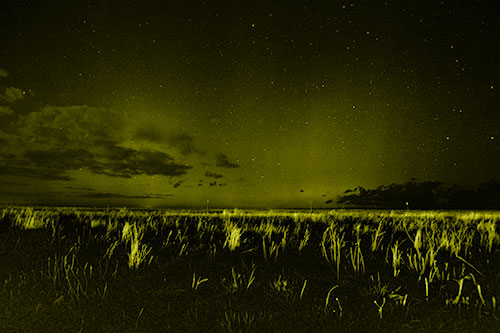 Dim Northern Aurora Borealis Lights Fading Beyond Horizon (Yellow Shade Photo)