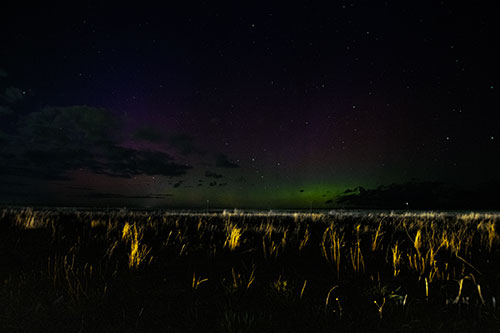 Dim Northern Aurora Borealis Lights Fading Beyond Horizon (Yellow Tint Photo)