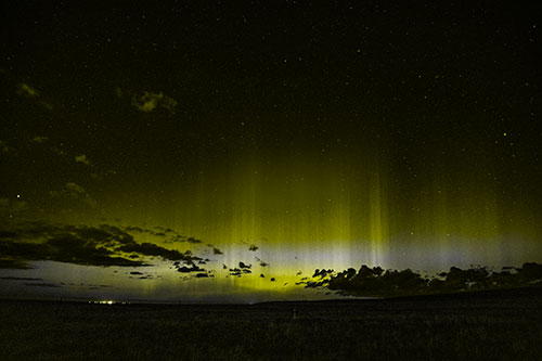 Northern Aurora Borealis Lights Up Night Sky (Yellow Tone Photo)